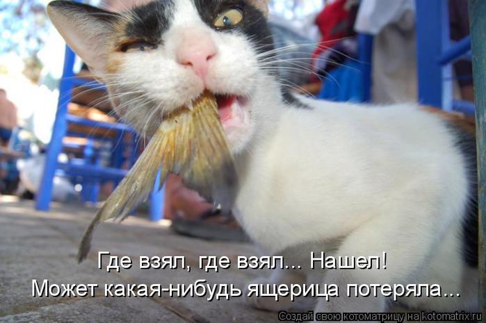 4743317_kotomatritsa_Yz (700x464, 46Kb)