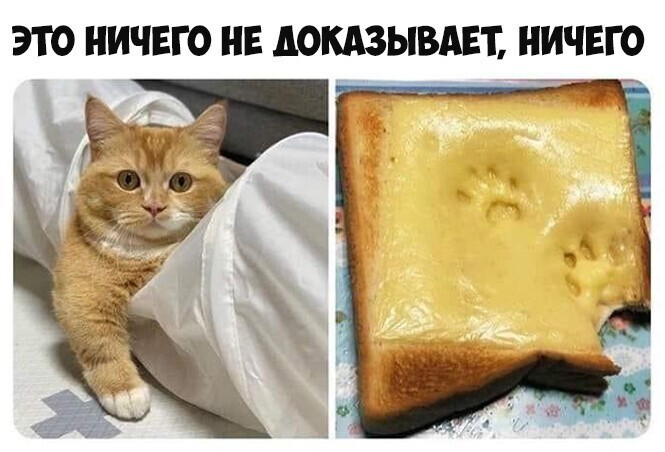 4743317_i_2_jpggn (665x452, 71Kb)
