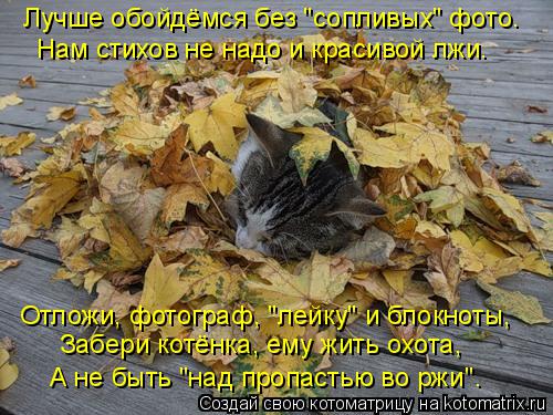 4743317_kotomatritsa_g (500x375, 61Kb)