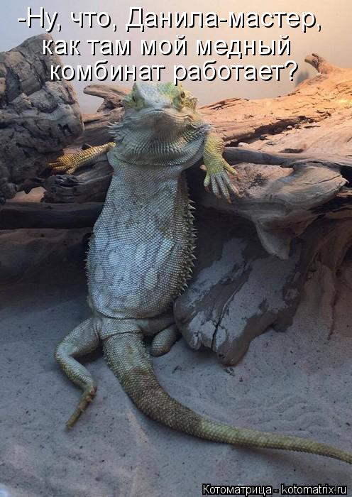 4743317_kotomatritsa_h (496x700, 67Kb)