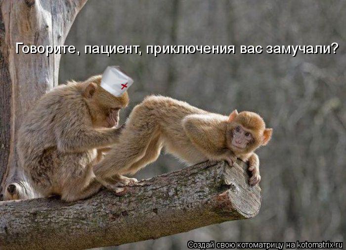4743317_kotomatritsa_N_1 (700x505, 64Kb)
