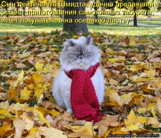 4743317_kotomatritsa_N (650x556, 85Kb)