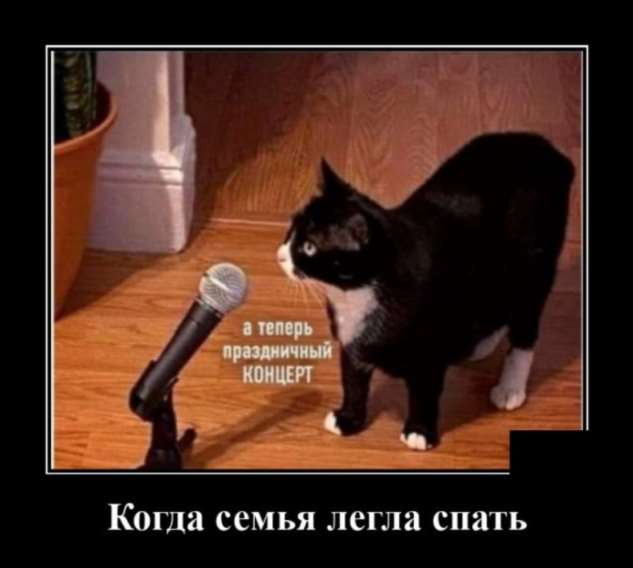 5402287_zabavatutza15726011109202015 (633x568, 26Kb)