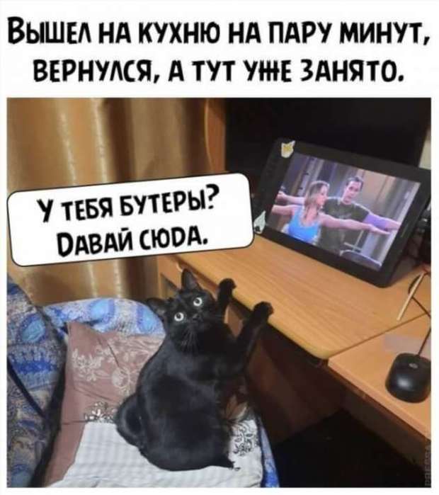 5402287_zabavatutza7533001110920201 (620x700, 41Kb)