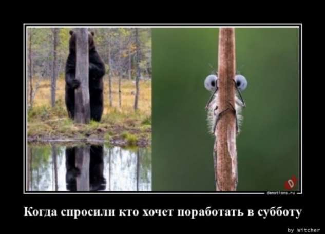5402287_zabavatutza20414042009202012 (633x456, 24Kb)