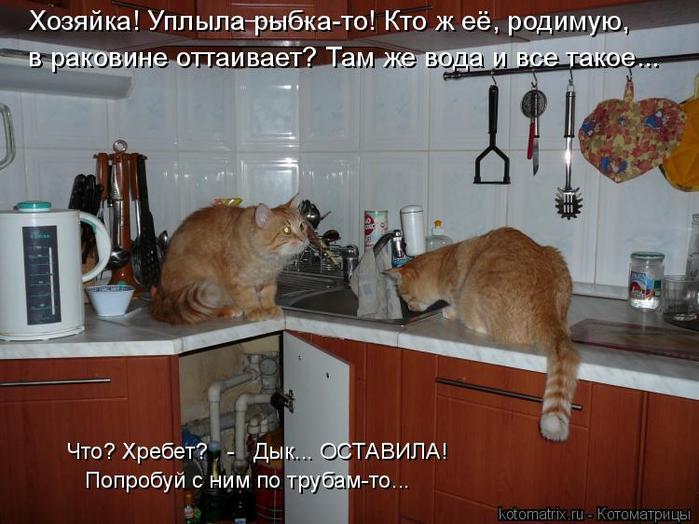 4743317_kotomatritsa_n (700x524, 60Kb)