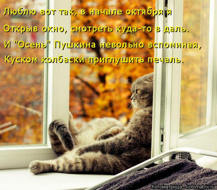 4743317_kotomatritsa_H (700x615, 85Kb)