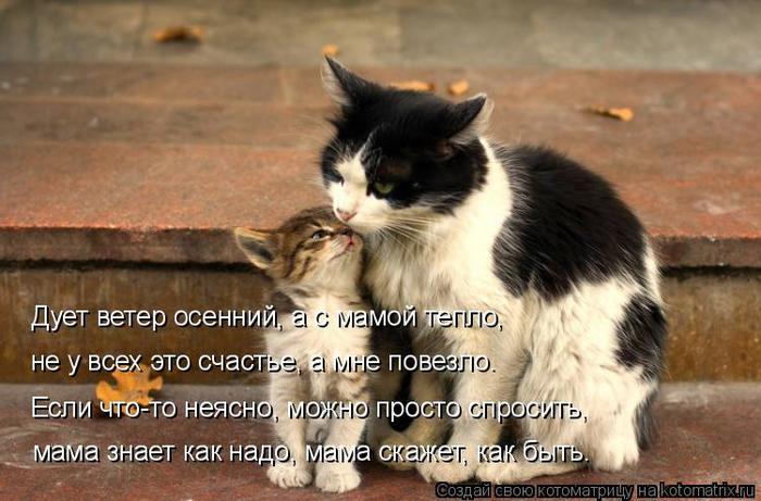 4743317_kotomatritsa_L_1 (700x461, 55Kb)