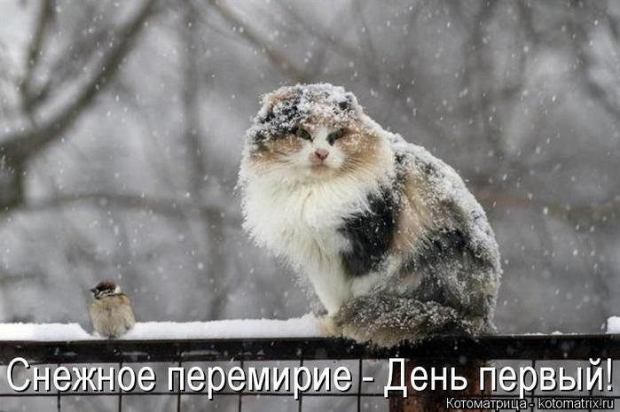 4743317_kotomatritsa_M_1 (700x465, 45Kb)