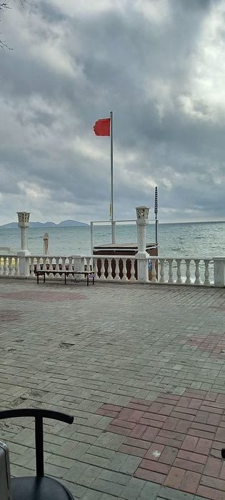 120237128_357920262250994_4374616978154393746_o (315x700, 38Kb)