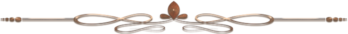 KI-81-138 (692x68, 64Kb)