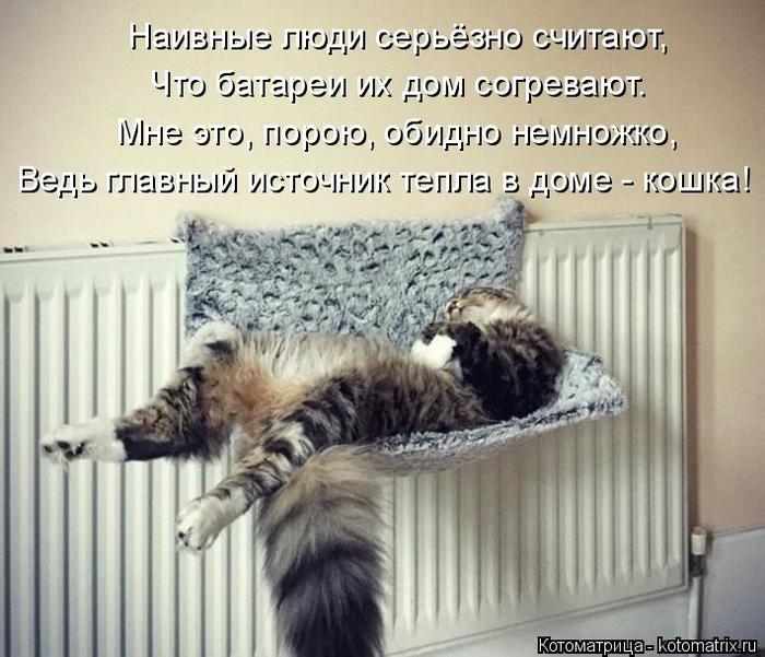4743317_kotomatritsa_uF (700x601, 69Kb)