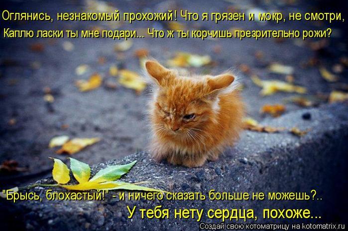 4743317_kotomatritsa_RR (700x465, 69Kb)