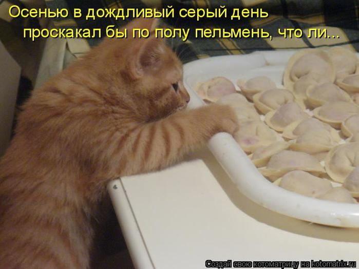 4743317_kotomatritsa_aQ (700x524, 44Kb)