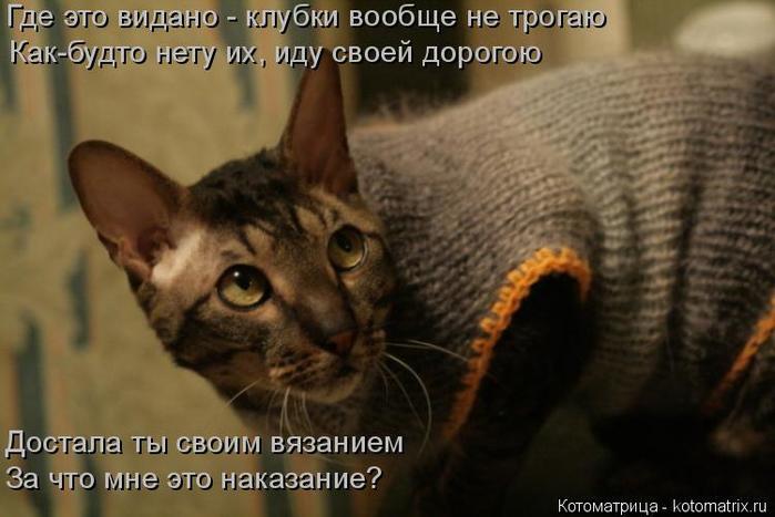 4743317_kotomatritsa_3 (700x467, 45Kb)