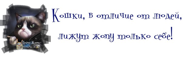 5672049_70133398_920873888274454_6284889012184285184_n (604x191, 20Kb)