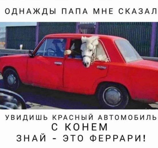 5672049_120134153_3224399174292626_7285033397294592383_o (552x519, 40Kb)