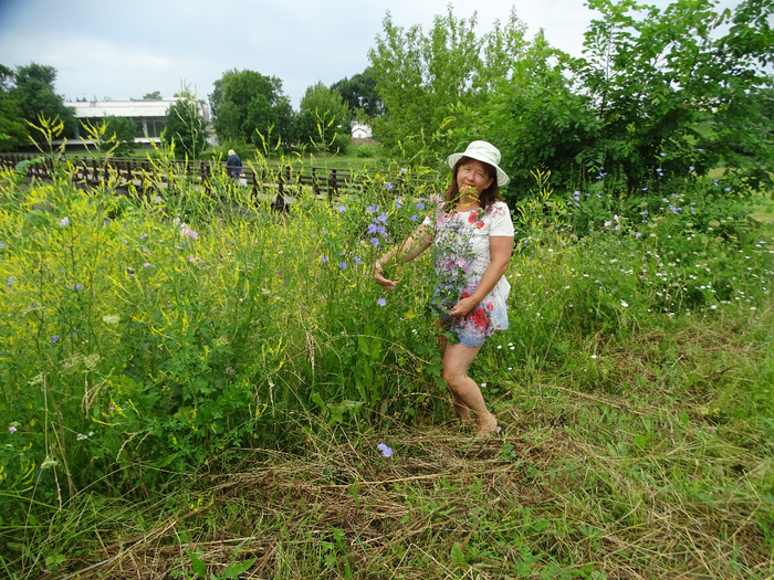 DSC00805 (700x525, 644Kb)