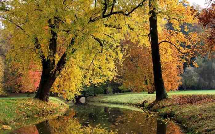 foto-11-min (700x437, 38Kb)