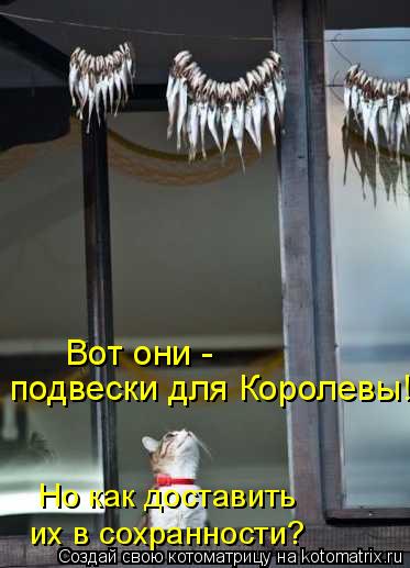 4743317_kotomatritsa_N (373x517, 32Kb)