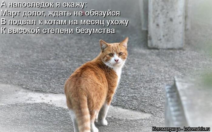 4743317_kotomatritsa_Gy (700x436, 55Kb)