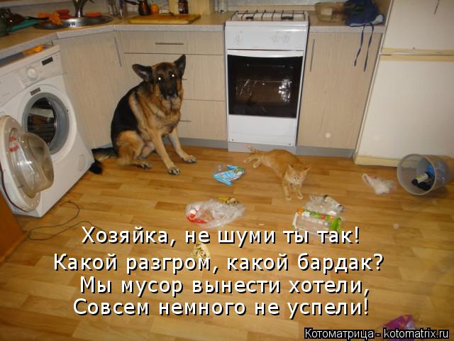 4743317_kotomatritsa_c (640x480, 52Kb)