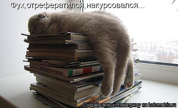 4743317_kotomatritsa_wt (600x363, 42Kb)