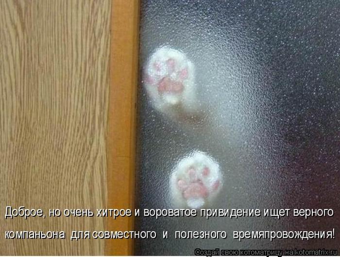 4743317_kotomatritsa__S (700x530, 68Kb)