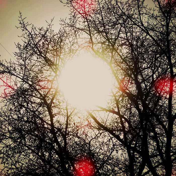 01 (700x700, 200Kb)