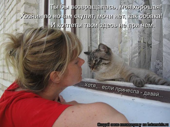 4743317_kotomatritsa_v (700x524, 61Kb)