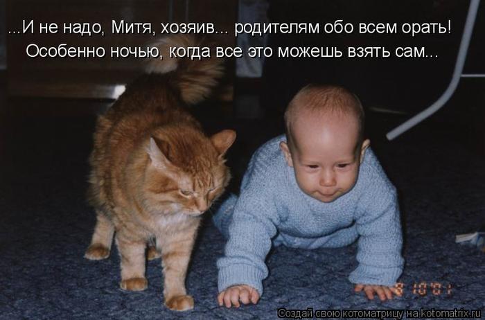 4743317_kotomatritsa_L (700x462, 45Kb)