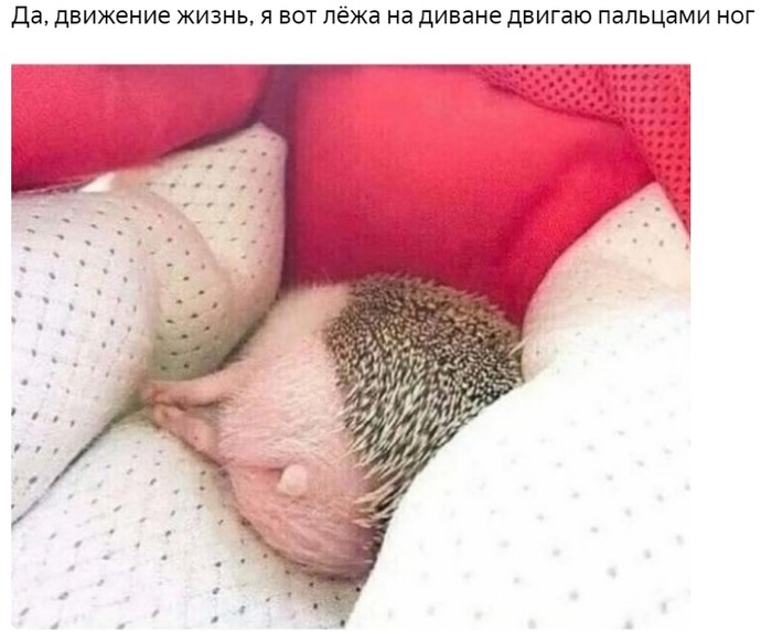 5 (700x583, 87Kb)