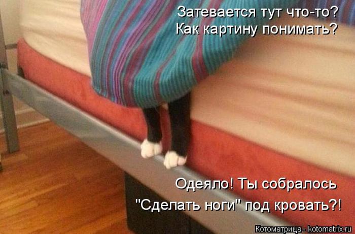 4743317_kotomatritsa_R3 (700x461, 48Kb)