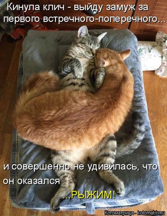 4743317_kotomatritsa_N (540x700, 84Kb)