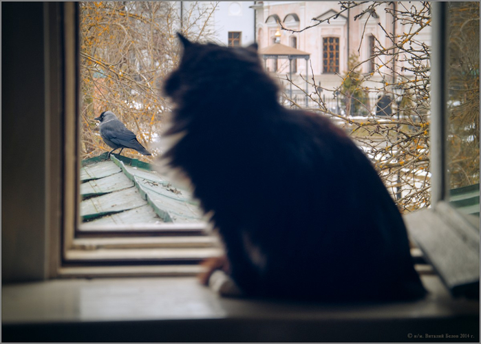 gallery_583_47_755807 (700x500, 316Kb)