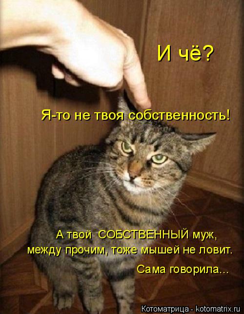 4743317_kotomatritsa_jf (500x643, 53Kb)