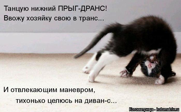 4743317_kotomatritsa_G (700x432, 42Kb)
