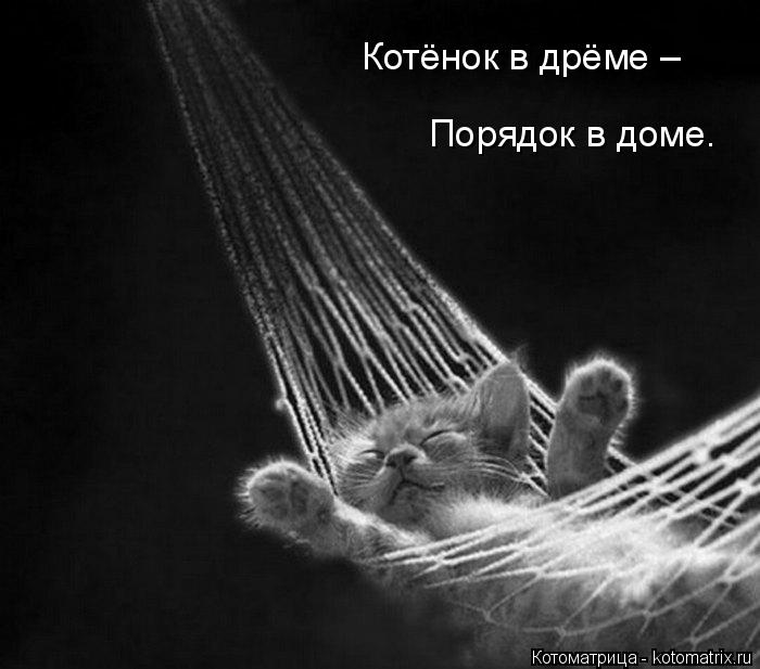 4743317_kotomatritsa_4 (700x617, 47Kb)