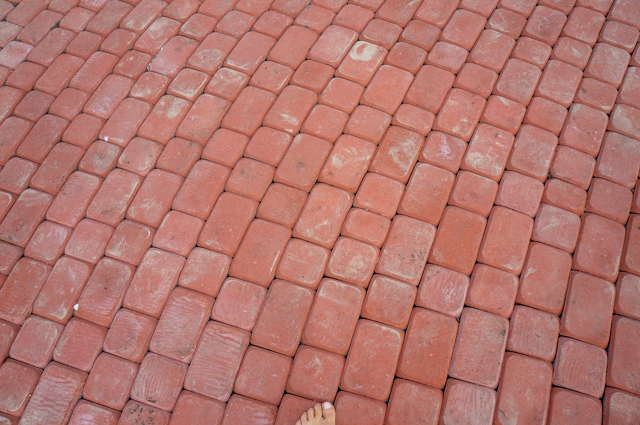 DSC03812 (640x425, 382Kb)