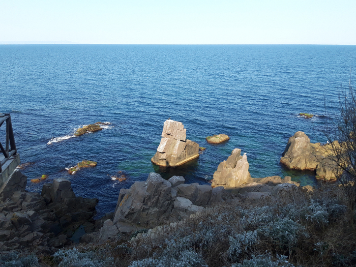 20200924_154918 (700x525, 489Kb)