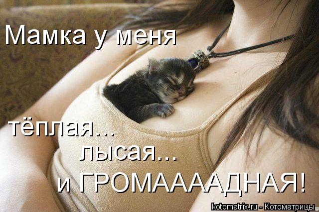 4743317_kotomatritsa_u (640x426, 55Kb)