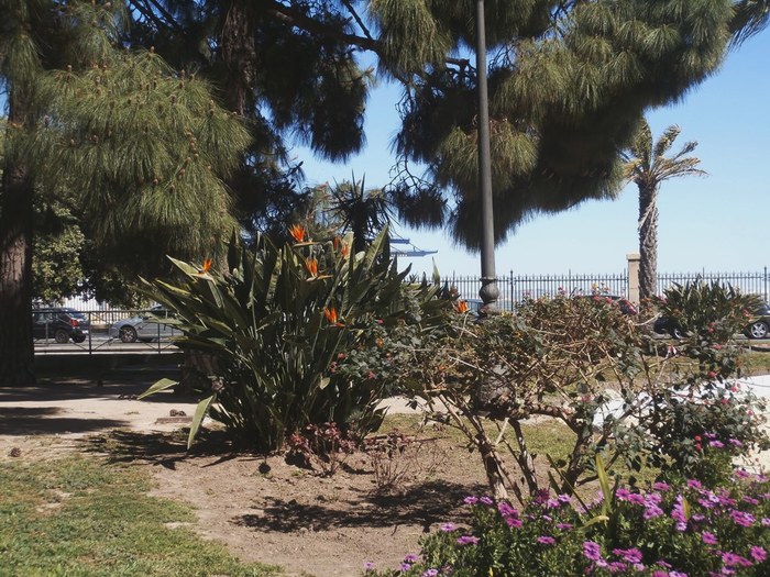 5322303_P3070397 (700x525, 144Kb)