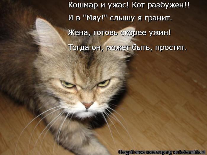 4743317_kotomatritsa_X (700x524, 49Kb)