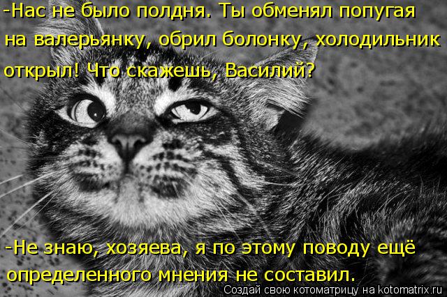 4743317_kotomatritsa_f (640x426, 87Kb)
