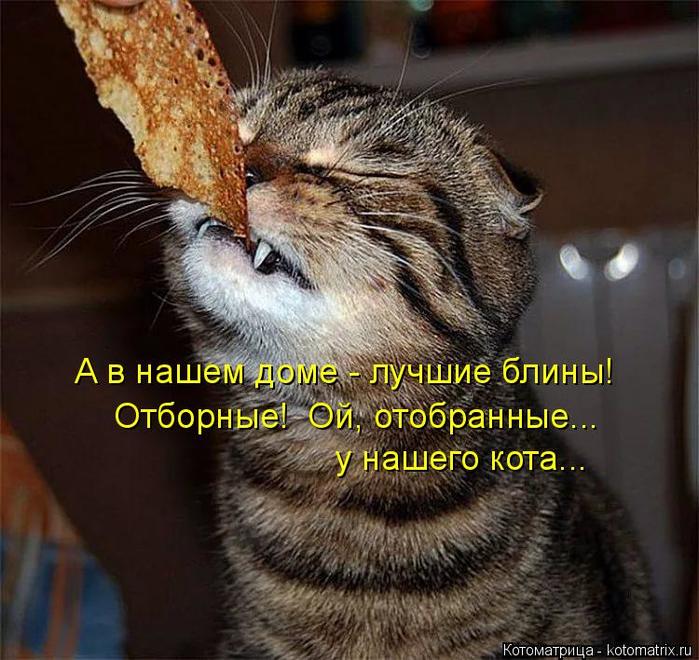 4743317_kotomatritsa_w (700x660, 83Kb)