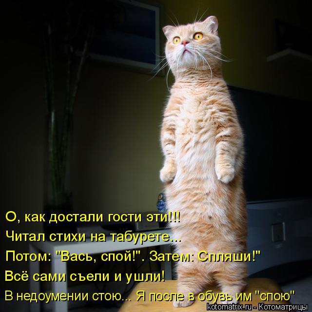 4743317_kotomatritsa_V (640x640, 56Kb)
