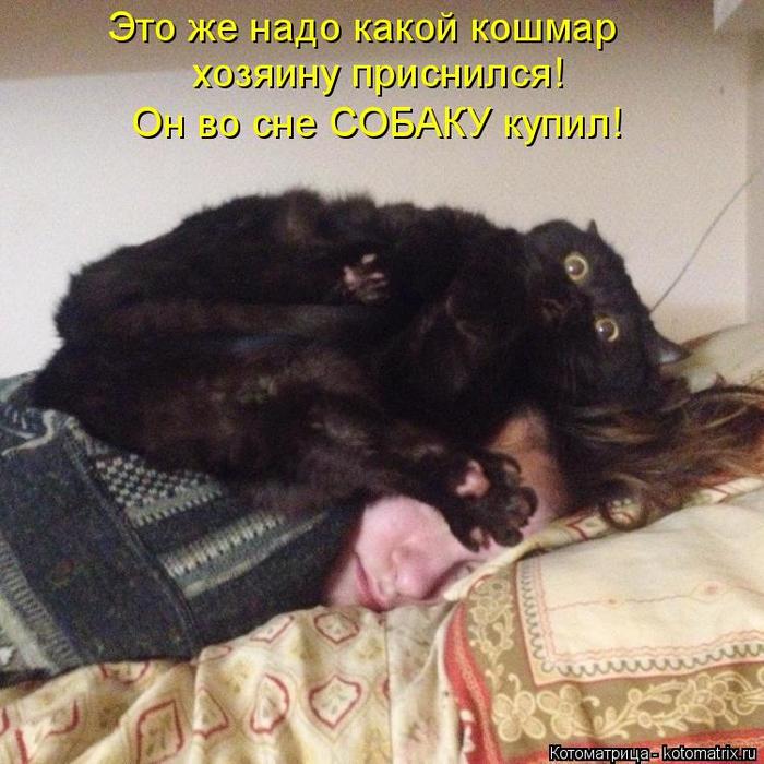4743317_kotomatritsa_3_1 (700x700, 73Kb)