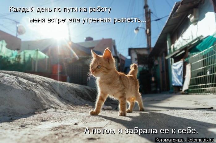 4743317_kotomatritsa_7f (700x464, 54Kb)