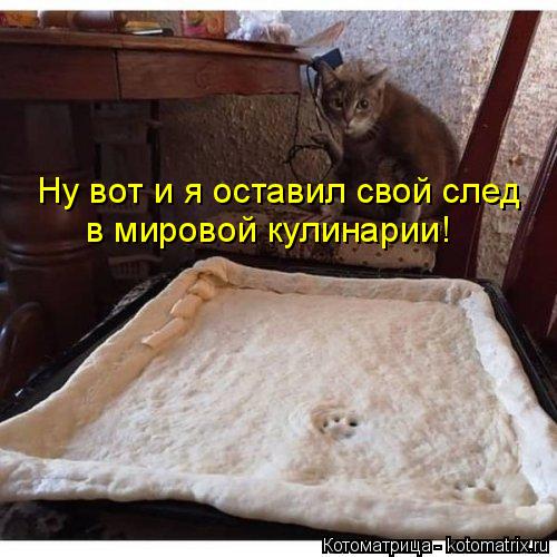 4743317_kotomatritsa_n_1 (500x500, 48Kb)