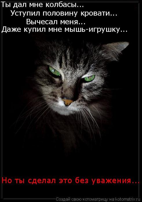 4743317_kotomatritsa_R (491x700, 40Kb)